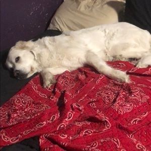 Meet your Posher, Tanner